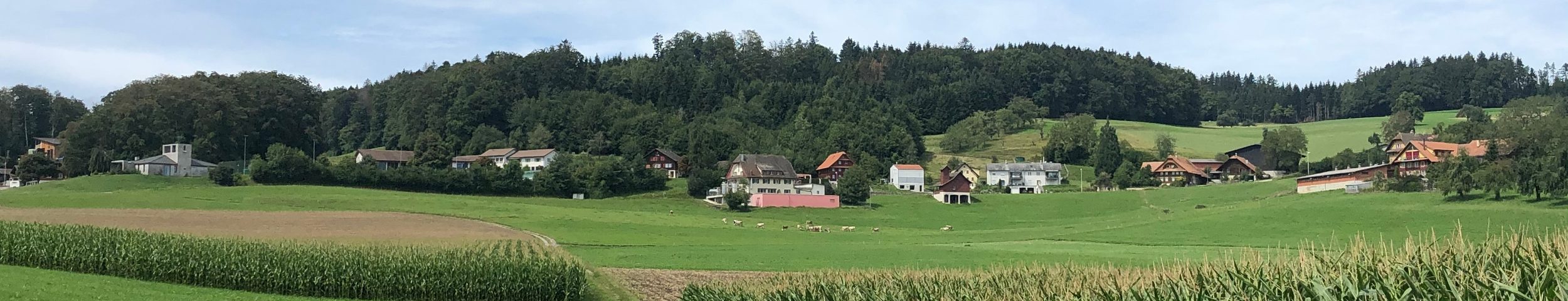 Galerie Politik