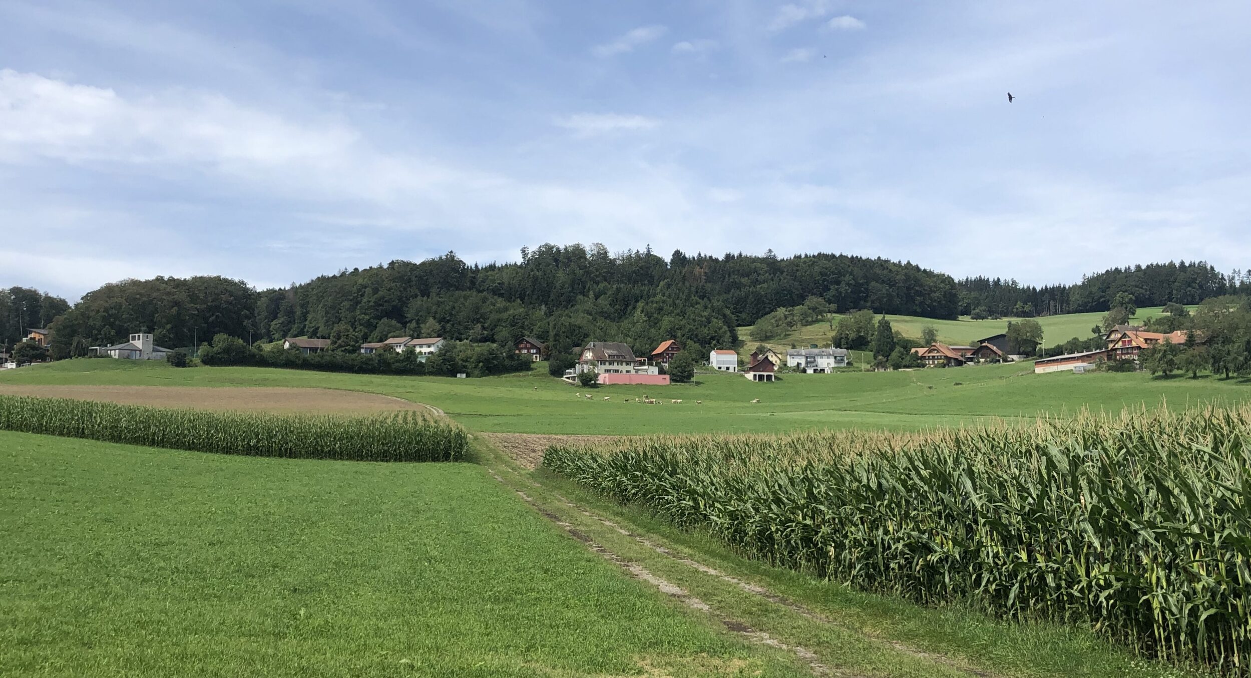 Gemeinde Schlierbach Home